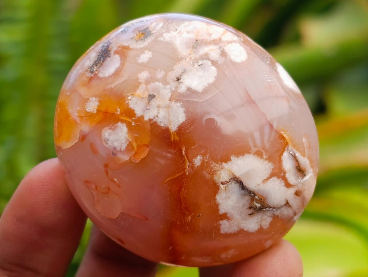 Polished Flower Agate Palm Stones x 20 From Antsahalova, Madagascar