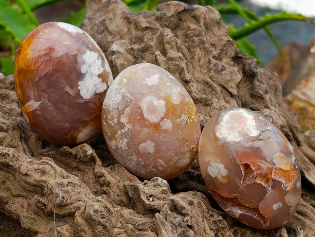 Polished Flower Agate Palm Stones x 20 From Antsahalova, Madagascar