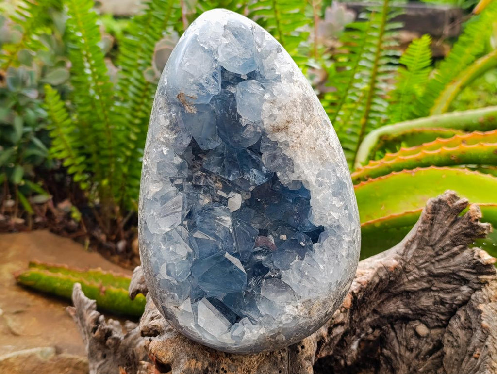 Polished Large Blue Celestite Egg x 1 From Sakoany, Madagascar
