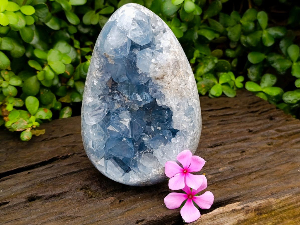 Polished Large Blue Celestite Egg x 1 From Sakoany, Madagascar