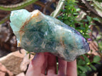Natural Watermelon Fluorite Cobbed Specimens x 3 From Uis, Namibia