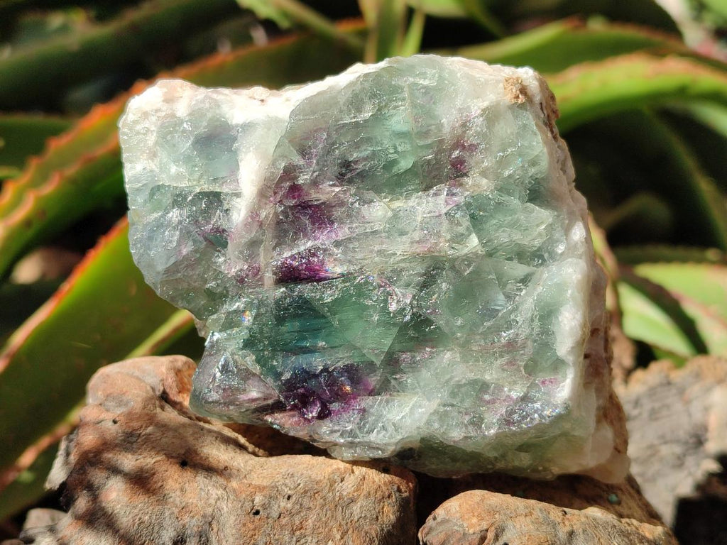 Natural Watermelon Fluorite Cobbed Specimens x 3 From Uis, Namibia