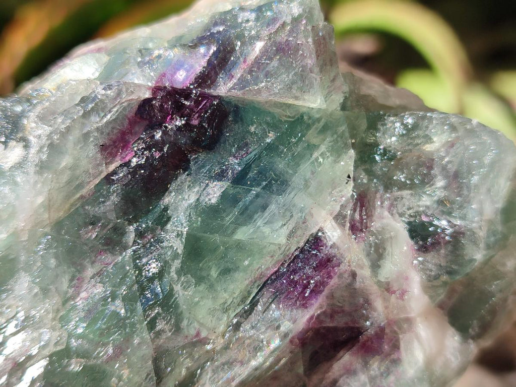 Natural Watermelon Fluorite Cobbed Specimens x 3 From Uis, Namibia