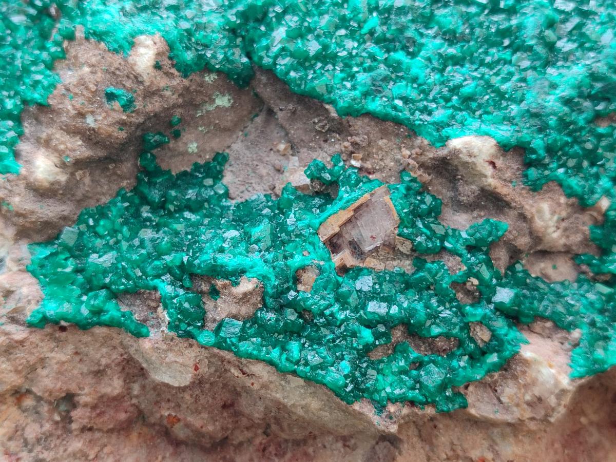 Natural XL Dioptase on Dolomite Specimen x 1 From Tantara Mine, Congo
