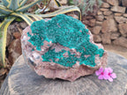 Natural XL Dioptase on Dolomite Specimen x 1 From Tantara Mine, Congo