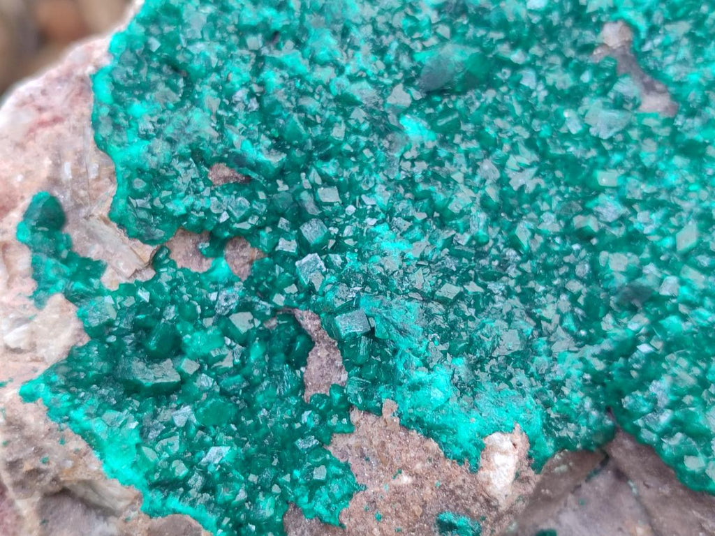 Natural XL Dioptase on Dolomite Specimen x 1 From Tantara Mine, Congo