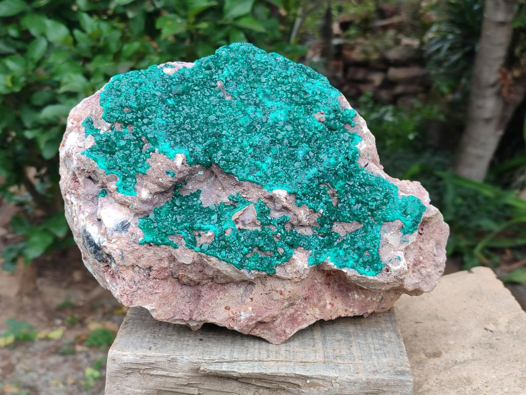 Natural XL Dioptase on Dolomite Specimen x 1 From Tantara Mine, Congo