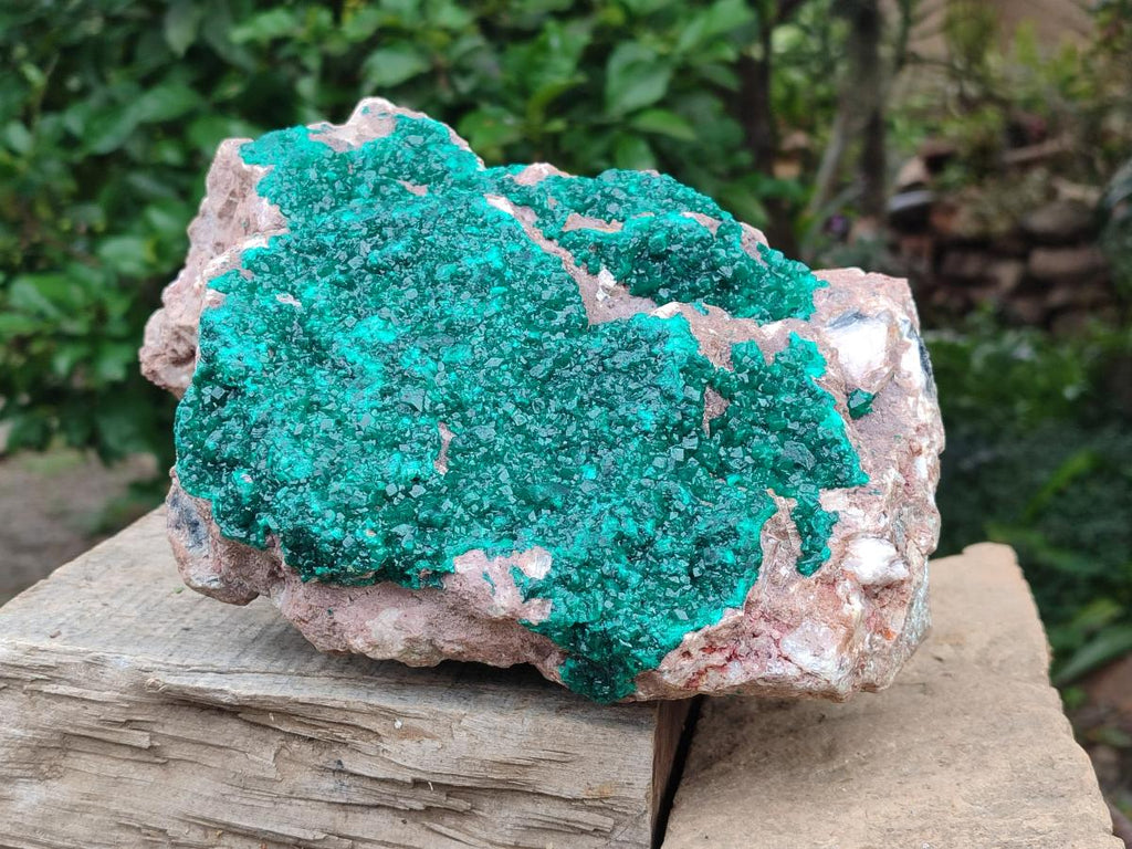 Natural XL Dioptase on Dolomite Specimen x 1 From Tantara Mine, Congo