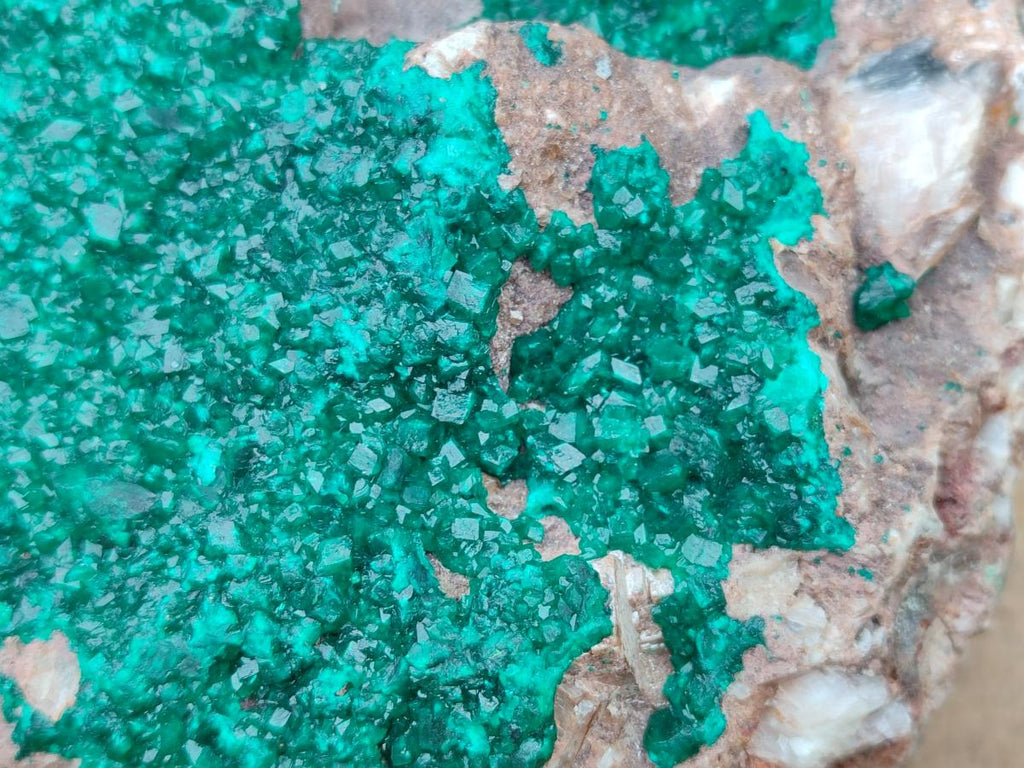 Natural XL Dioptase on Dolomite Specimen x 1 From Tantara Mine, Congo