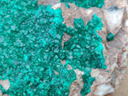 Natural XL Dioptase on Dolomite Specimen x 1 From Tantara Mine, Congo