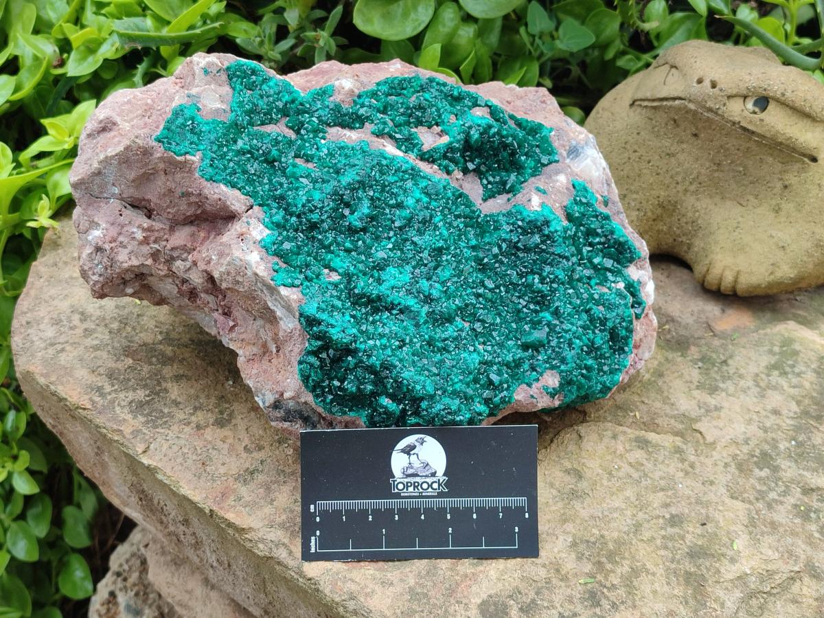 Natural XL Dioptase on Dolomite Specimen x 1 From Tantara Mine, Congo