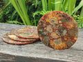 Hand Made Ammonite Conglomerate Coffee Table Coasters x 6 From Mahajanga, Madagascar