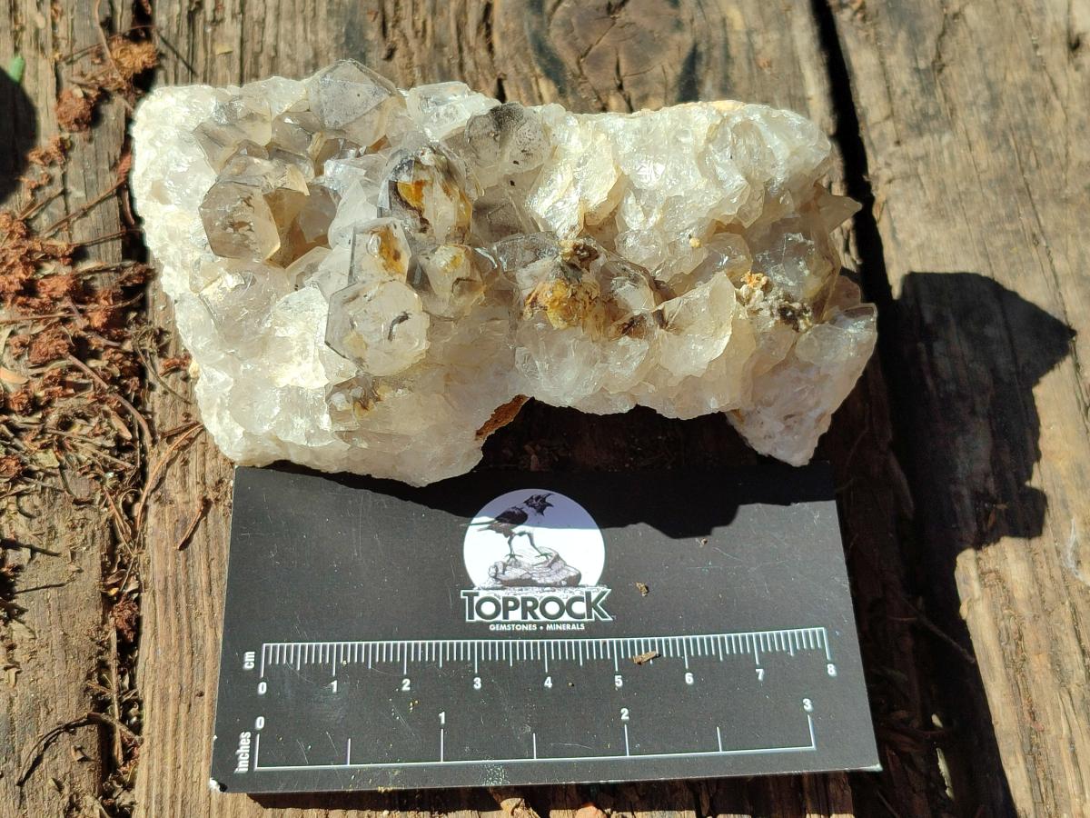 Natural Limonite Quartz Clusters with Goethite Inclusions x 12 From Solwezi, Zambia