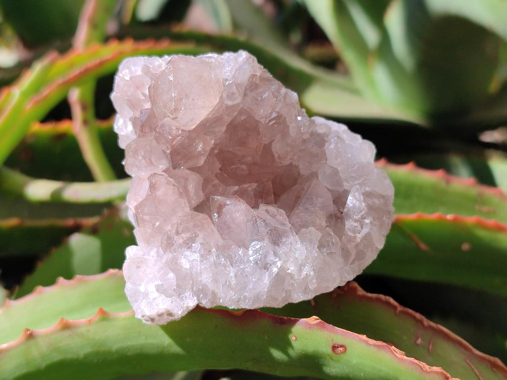 Natural Limonite Quartz Clusters with Goethite Inclusions x 12 From Solwezi, Zambia