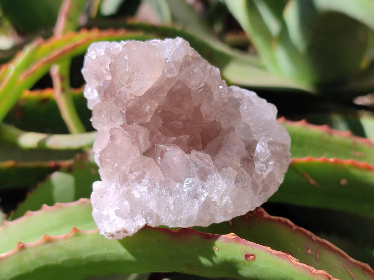 Natural Limonite Quartz Clusters with Goethite Inclusions x 12 From Solwezi, Zambia