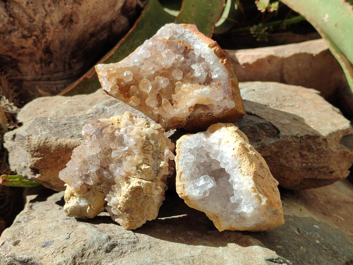 Natural Limonite Quartz Clusters with Goethite Inclusions x 12 From Solwezi, Zambia