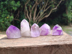 Polished Window Amethyst Crystals x 20 From Akansobe, Madagascar