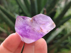 Polished Window Amethyst Crystals x 20 From Akansobe, Madagascar