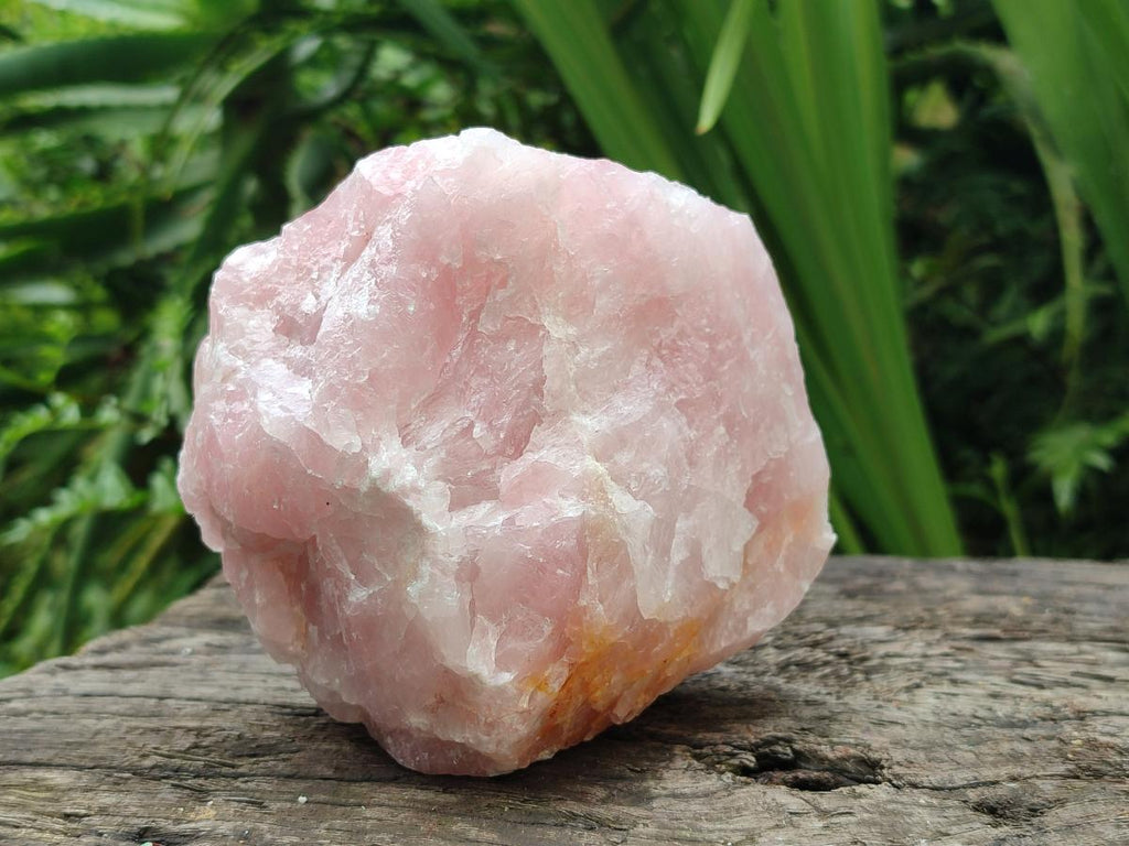 Natural Cobbed Rose Quartz Specimens x 6 From Northern Cape, South Africa