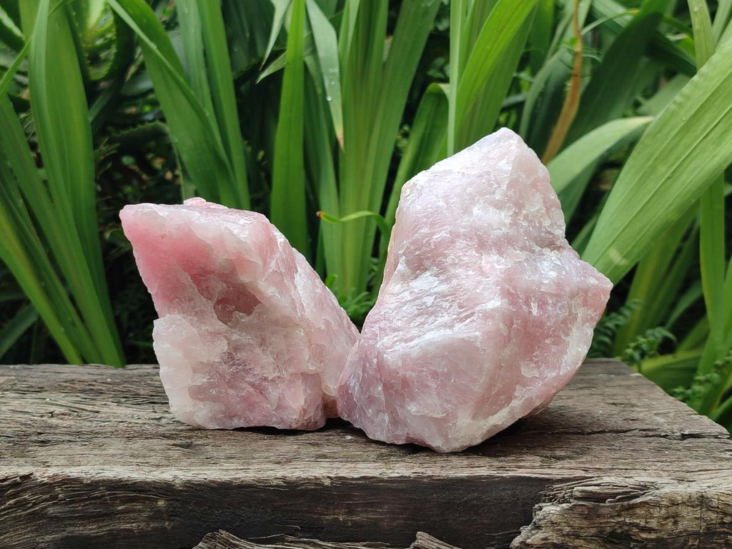 Natural Cobbed Rose Quartz Specimens x 6 From Northern Cape, South Africa