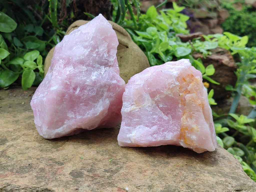 Natural Cobbed Rose Quartz Specimens x 6 From Northern Cape, South Africa