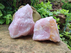 Natural Cobbed Rose Quartz Specimens x 6 From Northern Cape, South Africa