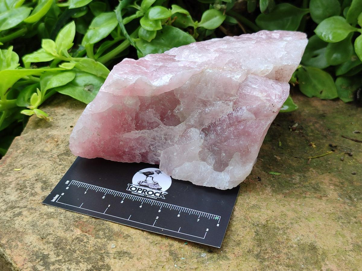 Natural Cobbed Rose Quartz Specimens x 6 From Northern Cape, South Africa