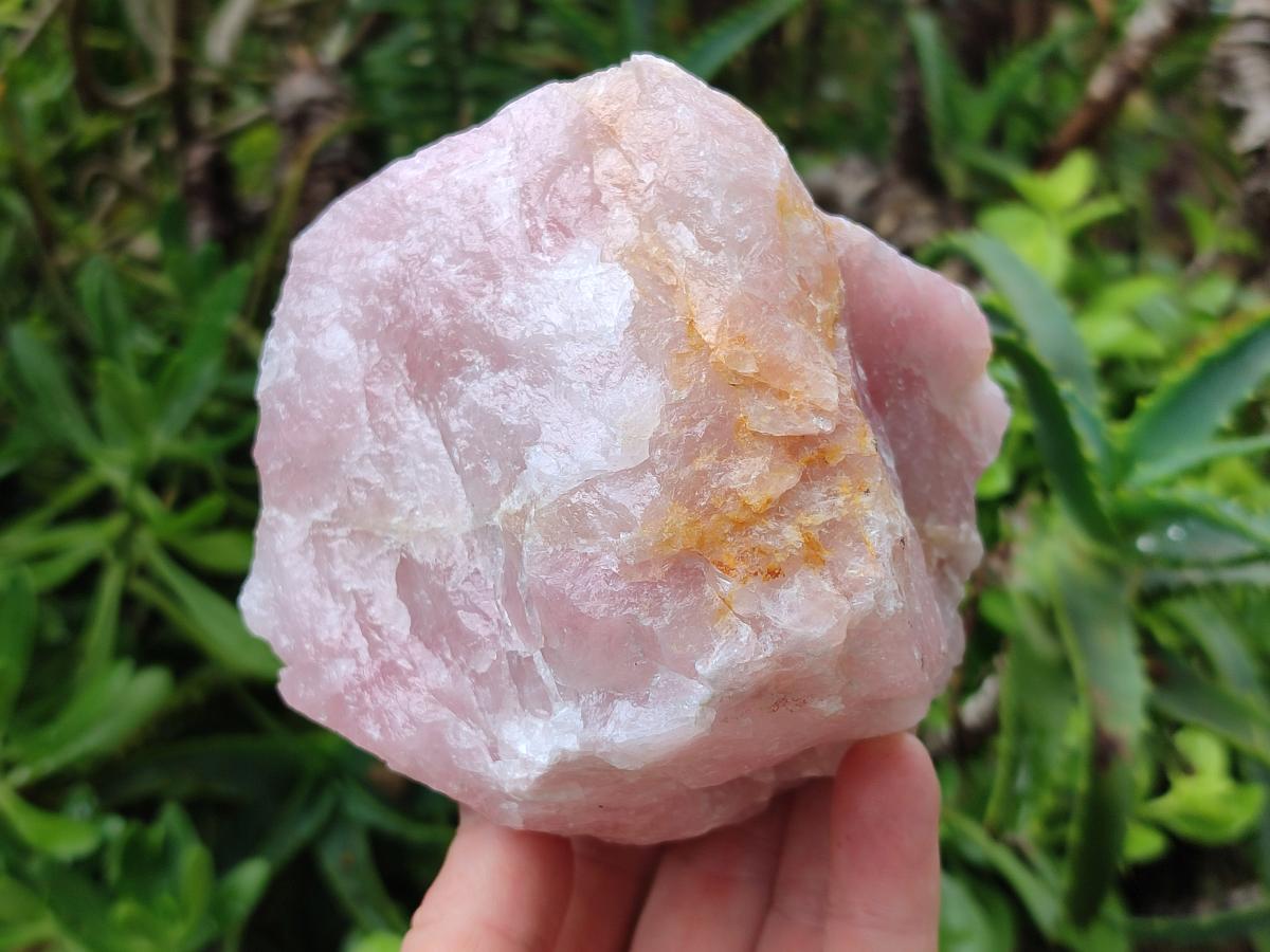 Natural Cobbed Rose Quartz Specimens x 6 From Northern Cape, South Africa