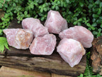 Natural Cobbed Rose Quartz Specimens x 6 From Northern Cape, South Africa
