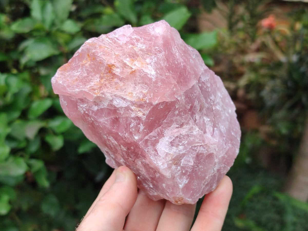 Natural Cobbed Rose Quartz Specimens x 6 From Northern Cape, South Africa