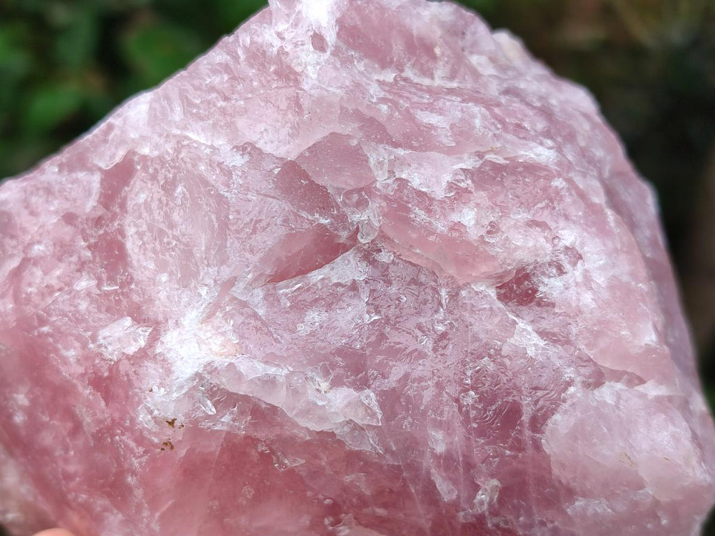 Natural Cobbed Rose Quartz Specimens x 6 From Northern Cape, South Africa