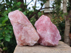 Natural Cobbed Rose Quartz Specimens x 6 From Northern Cape, South Africa