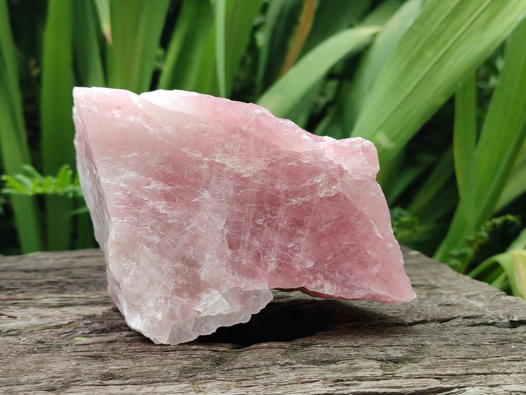 Natural Cobbed Rose Quartz Specimens x 6 From Northern Cape, South Africa
