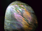 Polished Large Rare Purple Sunset Flash Labradorite Standing Free Form x 1 From Madagascar