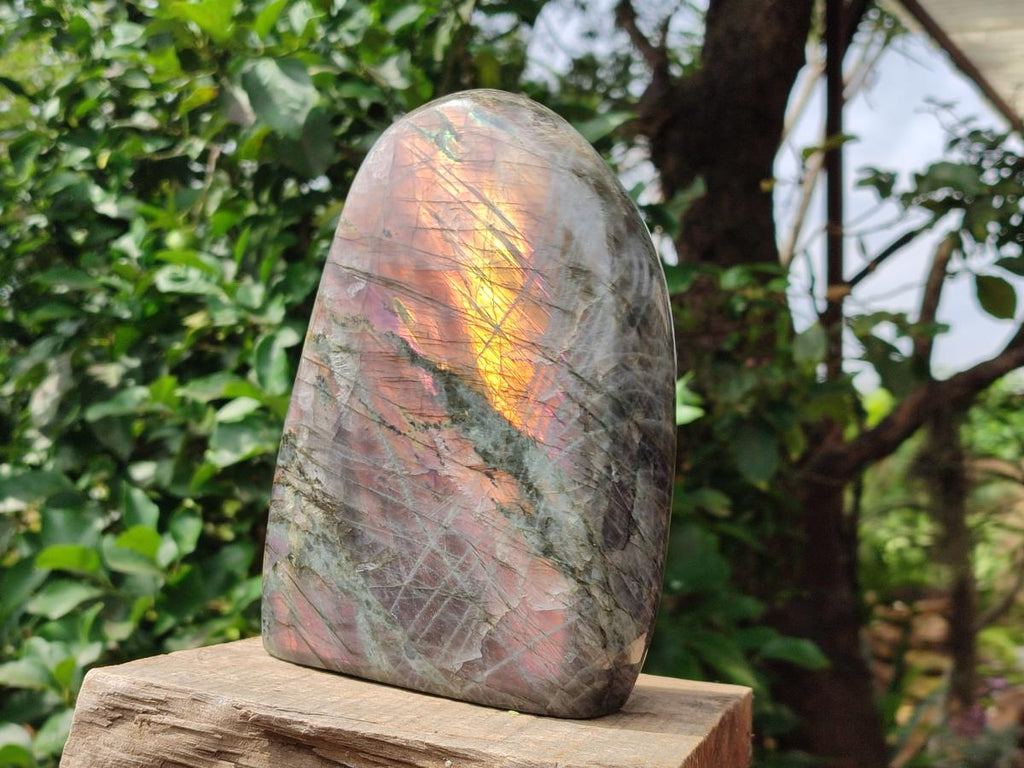 Polished Large Rare Purple Sunset Flash Labradorite Standing Free Form x 1 From Madagascar