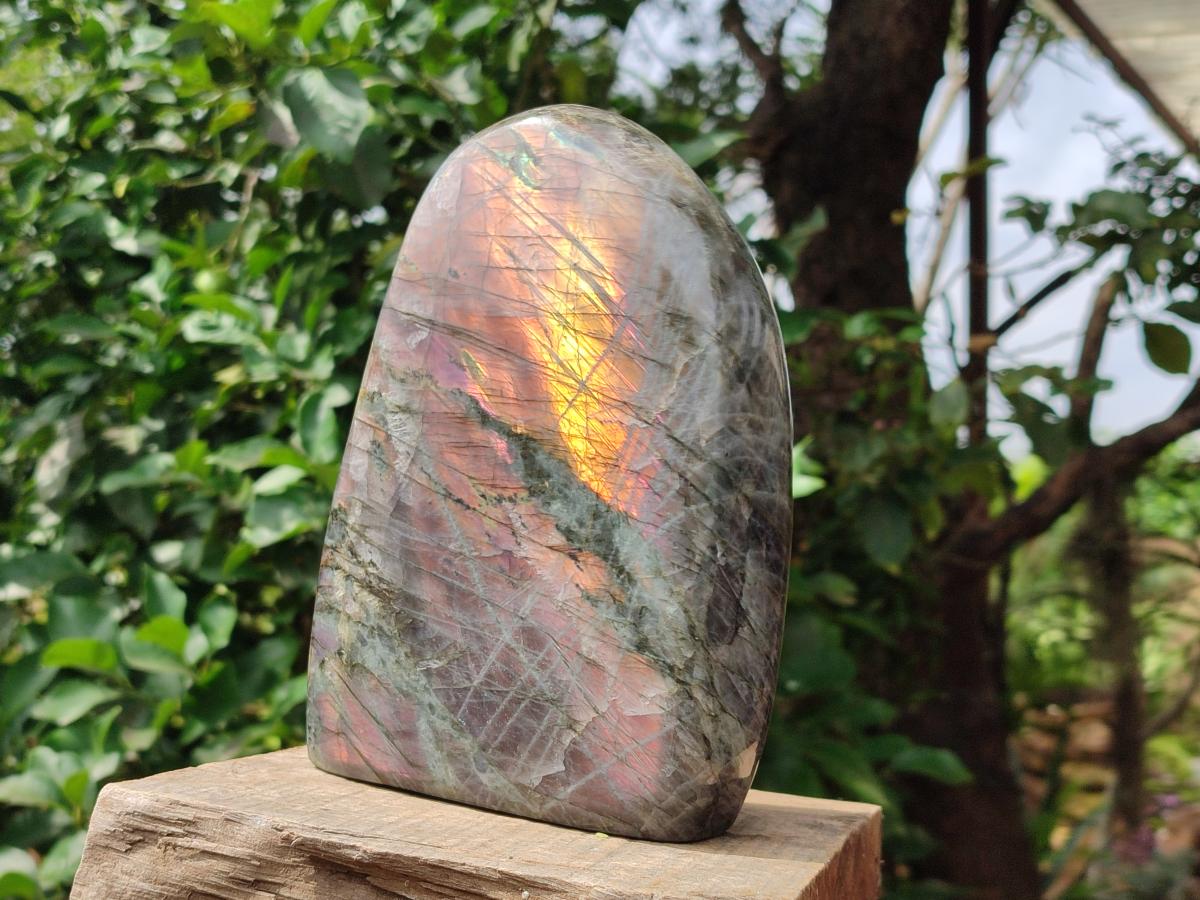 Polished Large Rare Purple Sunset Flash Labradorite Standing Free Form x 1 From Madagascar