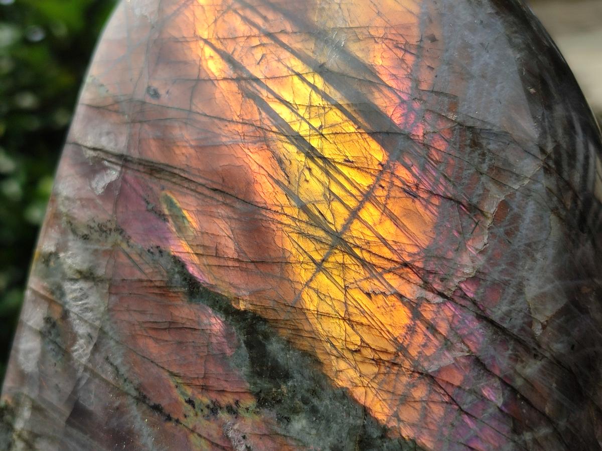 Polished Large Rare Purple Sunset Flash Labradorite Standing Free Form x 1 From Madagascar