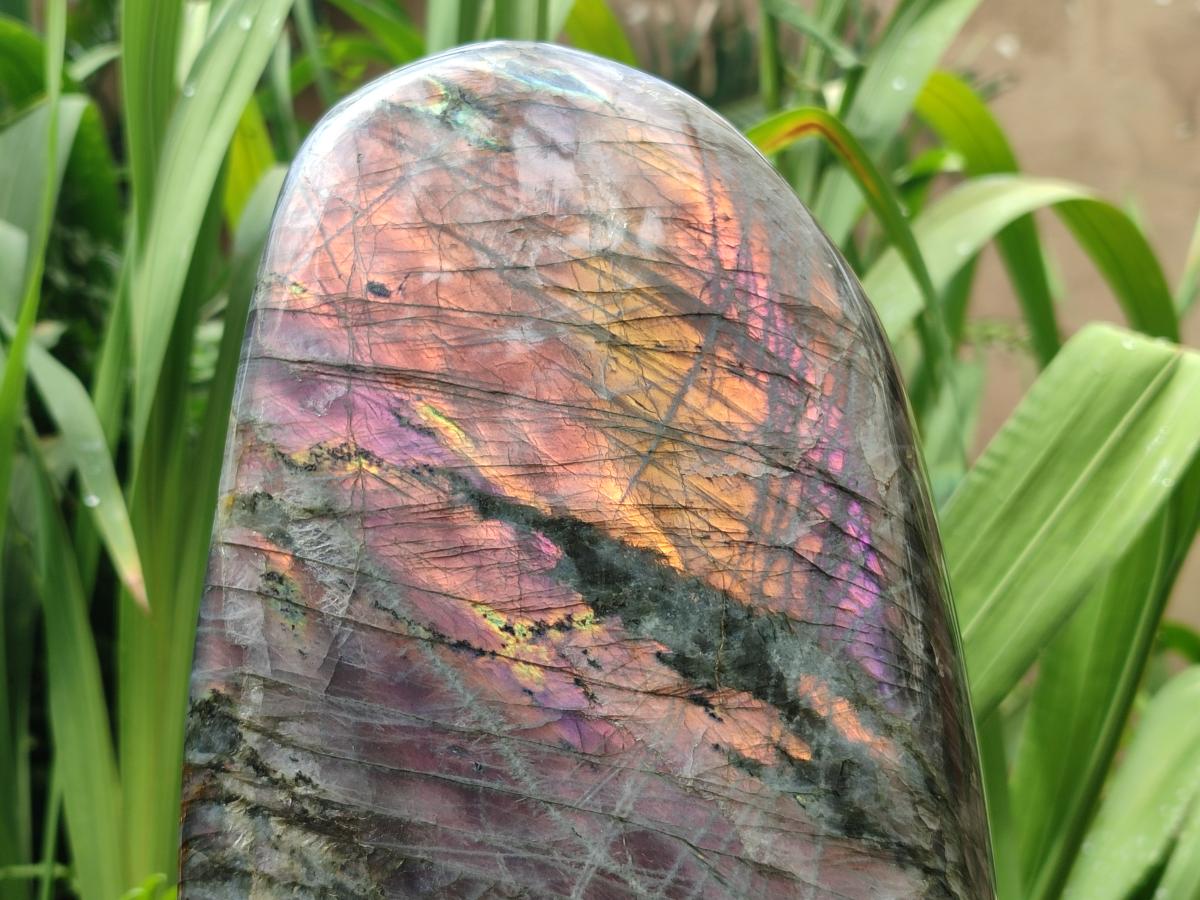 Polished Large Rare Purple Sunset Flash Labradorite Standing Free Form x 1 From Madagascar