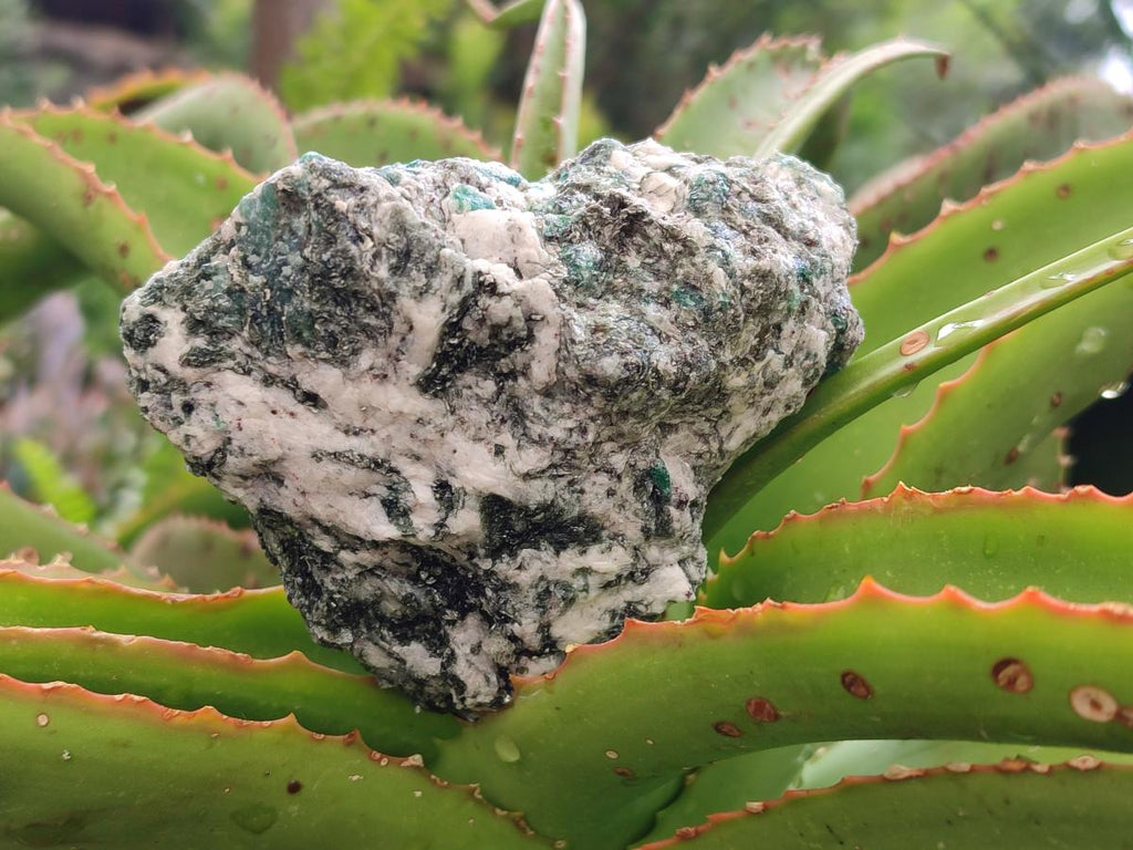 Natural Emerald Mica 'Mutokolite' Cobbed Specimens x 4 From Mutoko, Zimbabwe