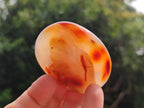 Polished Carnelian Agate Gemstone Galets x 12 From Madagascar