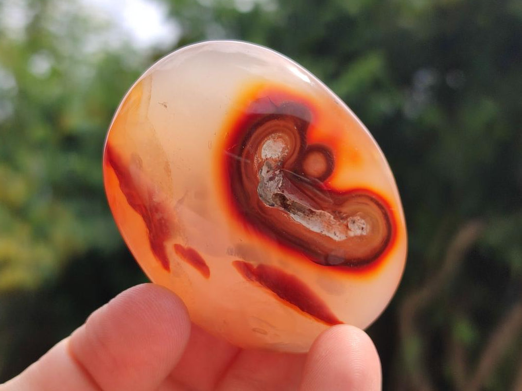 Polished Carnelian Agate Gemstone Galets x 12 From Madagascar