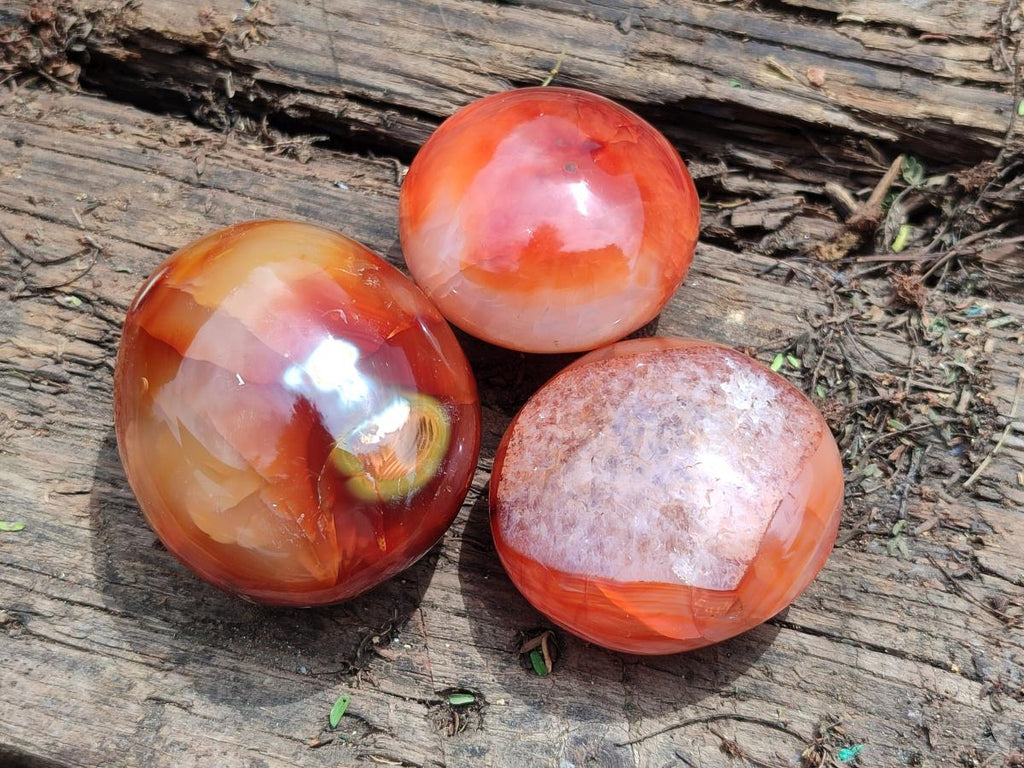 Polished Carnelian Agate Gemstone Galets x 12 From Madagascar