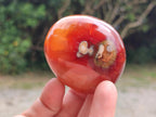 Polished Carnelian Agate Gemstone Galets x 12 From Madagascar