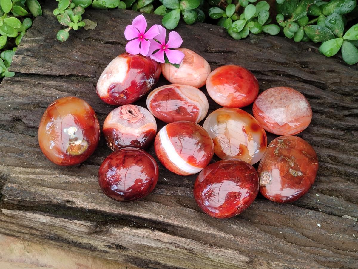 Polished Carnelian Agate Gemstone Galets x 12 From Madagascar