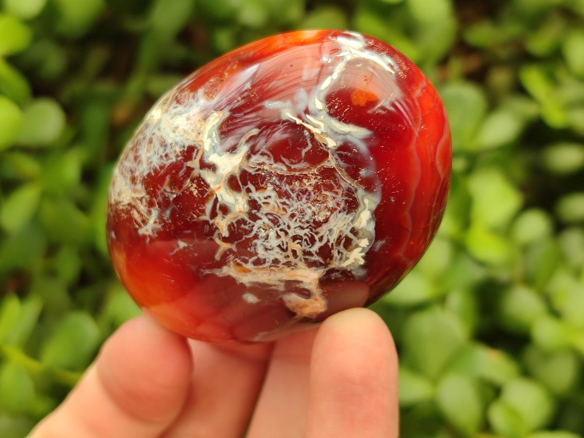 Polished Carnelian Agate Gemstone Galets x 12 From Madagascar