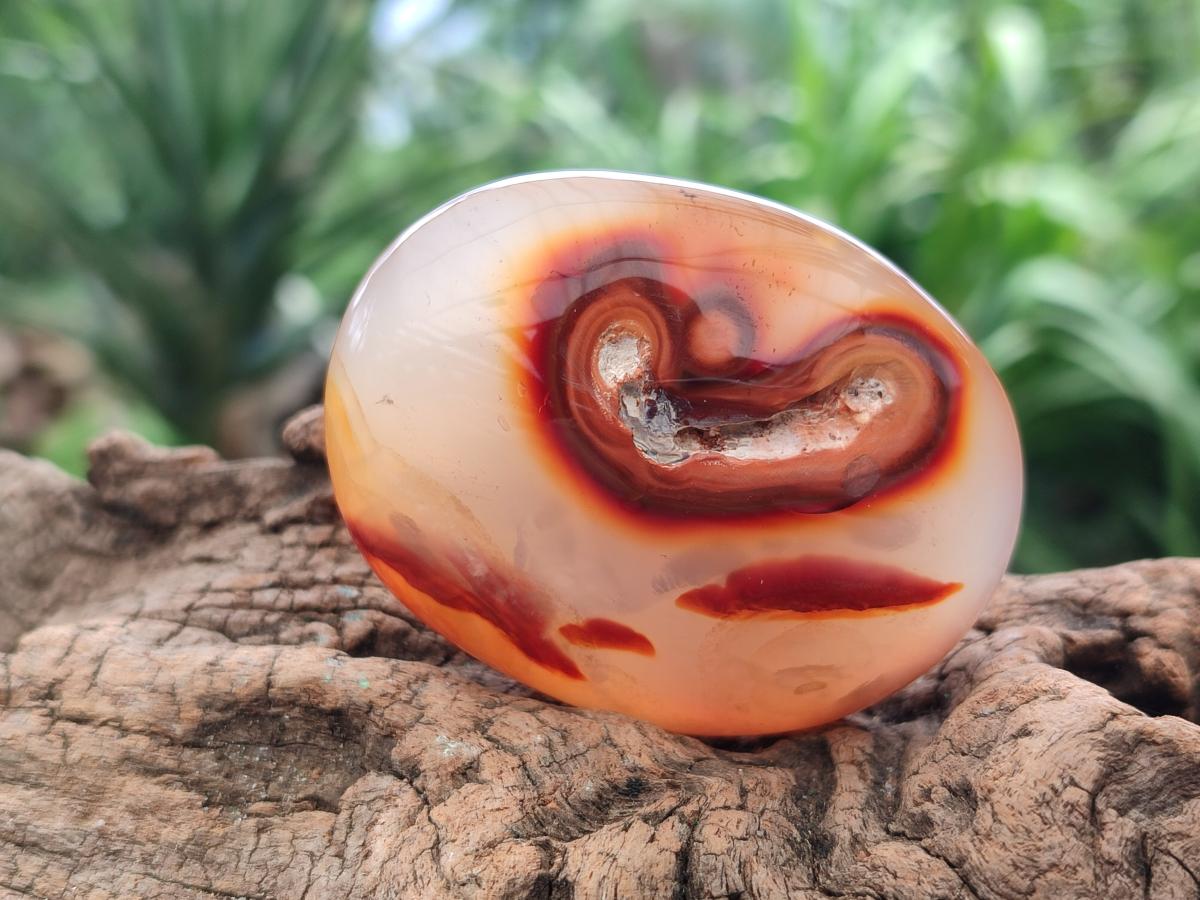 Polished Carnelian Agate Gemstone Galets x 12 From Madagascar