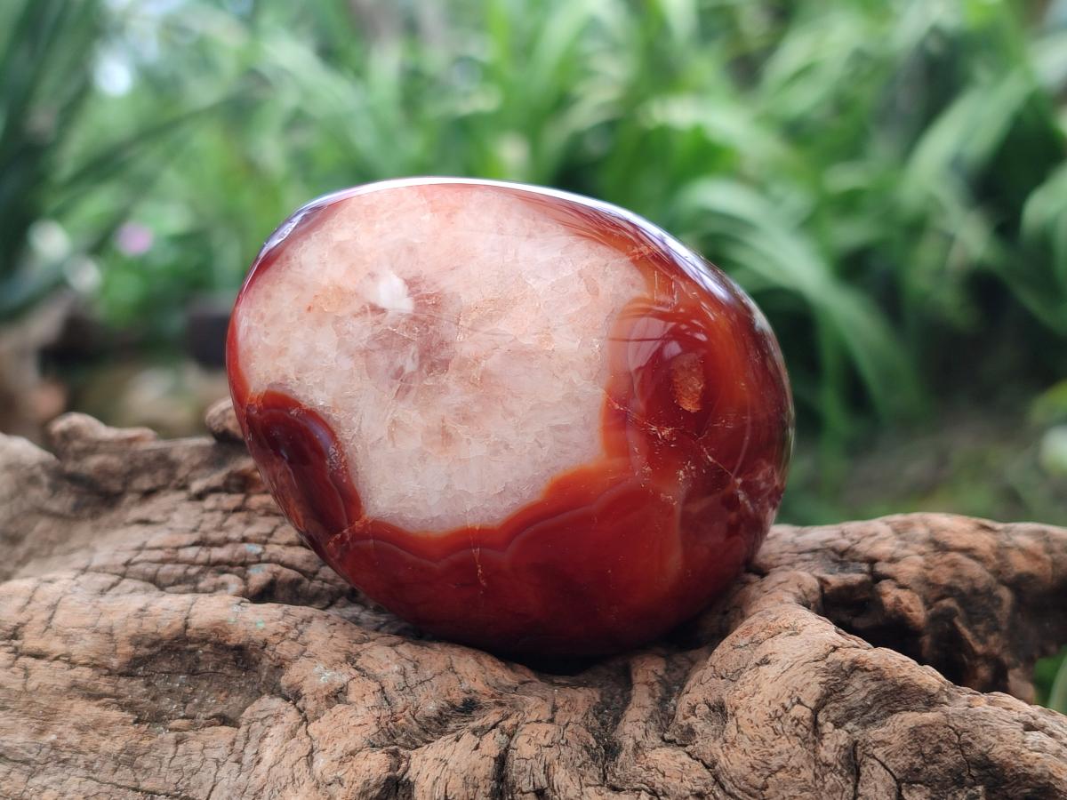Polished Carnelian Agate Gemstone Galets x 12 From Madagascar