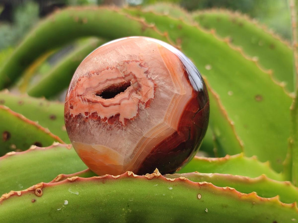 Polished Carnelian Agate Gemstone Galets x 12 From Madagascar