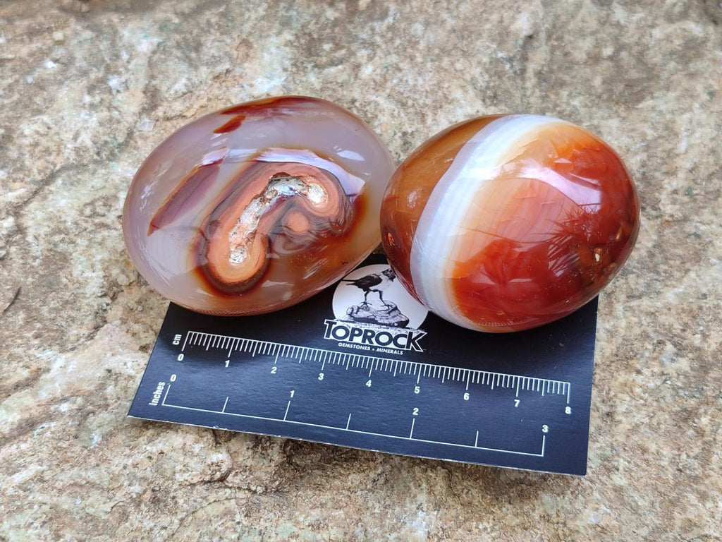 Polished Carnelian Agate Gemstone Galets x 12 From Madagascar