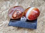 Polished Carnelian Agate Gemstone Galets x 12 From Madagascar